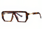 Encore Exhibit 1 in Tortoise - projectshades