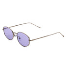 [ Horizon ] Classic Round Sunglasses : Purple - projectshades